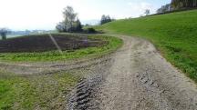 Blick auf die Wanderstrecke bei der Streckenzusammenf�hrung 